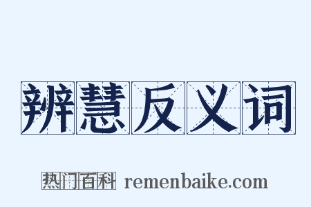 辨慧反义词是什么意思的图片